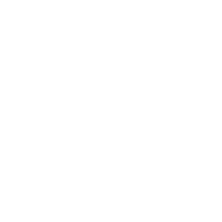 Logo de Pragma | Fotógrafo de Casamento | Porto, Viseu, Lisboa.